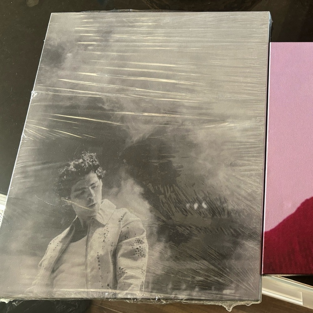 Joe Jonas Canvas